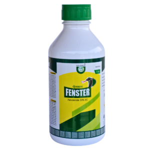 FENSTER
