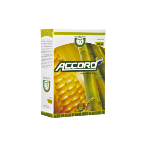 ACCORD