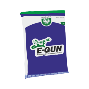 E-GUN