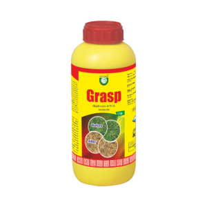 GRASP/ BRISTOSATE